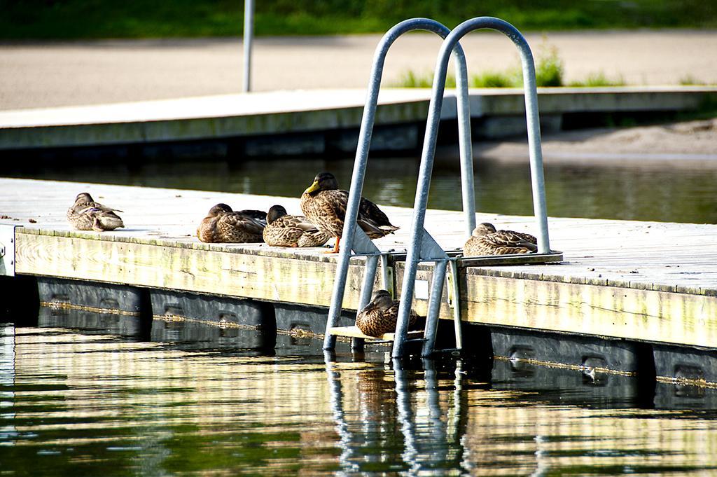 Roesjoebaden Camping & Stugby Sollentuna Exterior foto